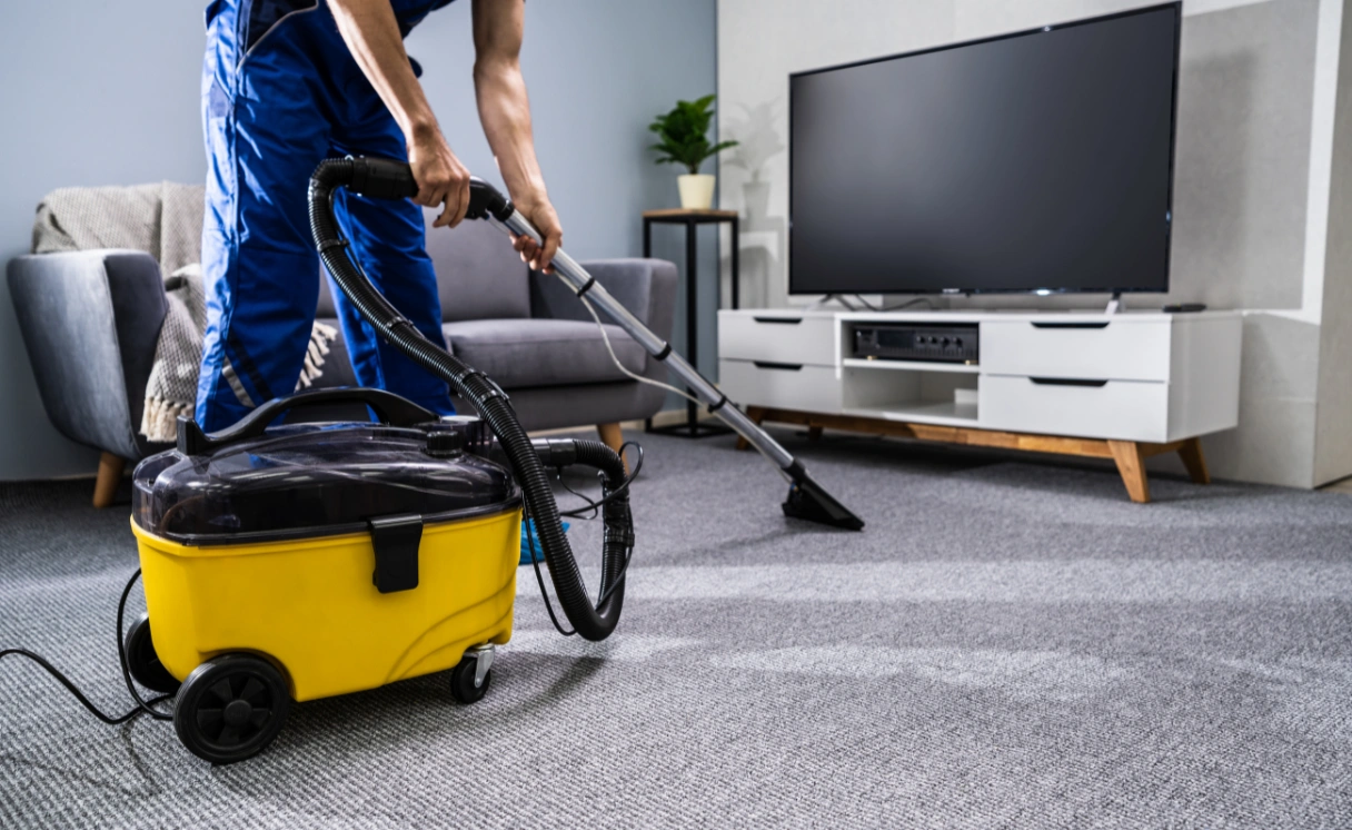 Extract Carpet Cleaning Bittern Contact Office